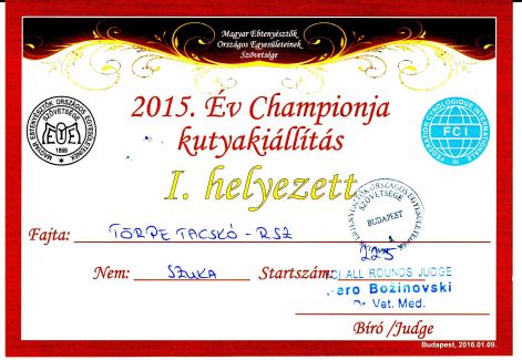 2016.01.09._budapest_champion_of_champion_salsa_i._helyezett.jpg