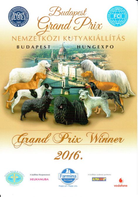 2016.06.04._budapest_grand_prix_salsa.jpg