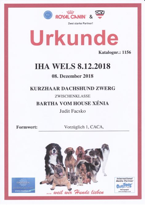 2018.12.08._iha_wels_zertifikat.jpg 2018.12.08._iha_wels_zertifikat.jpg