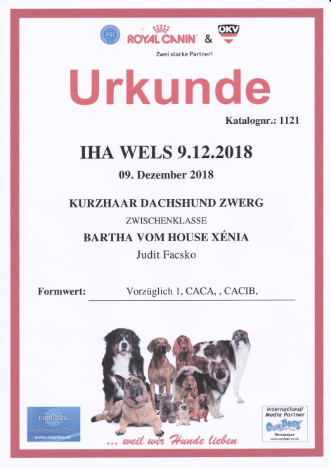 2018.12.09._iha_wels_zertifikat.jpg 2018.12.09._iha_wels_zertifikat.jpg