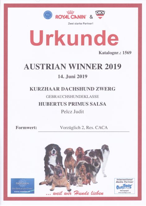 2019.06.14._austrian_winner_zertifikat_salsa.jpg