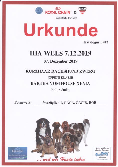 2019.12.07._iha_wels_urkunde.jpg 2019.12.07._iha_wels_urkunde.jpg