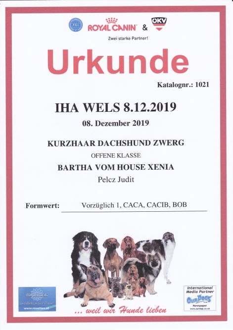 2019.12.08._iha_wels_urkunde.jpg 2019.12.08._iha_wels_urkunde.jpg