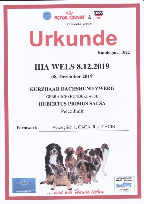 2019.12.08._iha_wels_urkunde_salsa.jpg