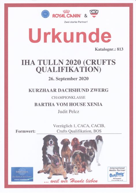 2020.09.26._iha_tulln_urkunde.jpg 2020.09.26._iha_tulln_urkunde.jpg