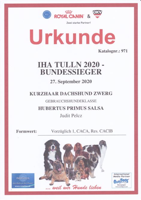 2020.09.27._iha_tulln_urkunde_salsa.jpg