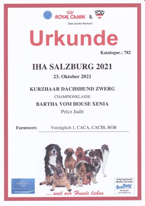 2021.10.23._iha_salzburg_urkunde.jpg 2021.10.23._iha_salzburg_urkunde.jpg