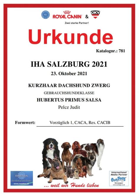 2021.10.23._iha_salzburg_urkunde_salsa.jpg
