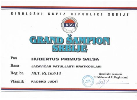 salsa_szerb_grand_champion_bizonyitvanya.jpg