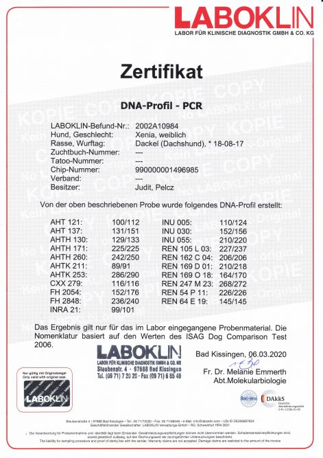 xenia_dna-porofil_zertifikat.jpg